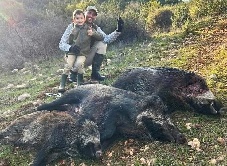 Crónica Pachorrillas